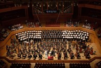 <strong>Green Echo,</strong> Chorus